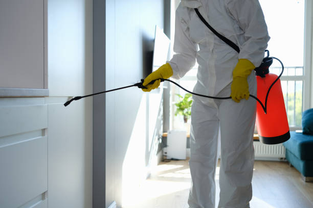 Best Commercial Mold Remediation in Wentzville, MO
